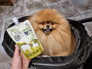 아롱이님이 올린 리뷰 사진 1
