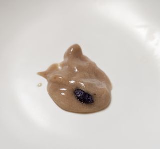 홍블리님이 올린 리뷰 사진 3