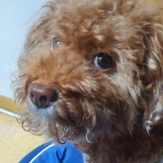 제이드님이 올린 리뷰 사진 1