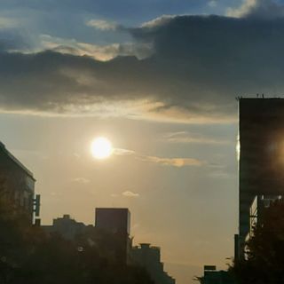 옹알이님이 올린 리뷰 사진 3