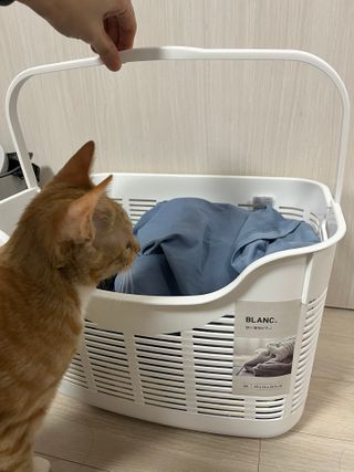 Ondodo님이 올린 리뷰 사진 2