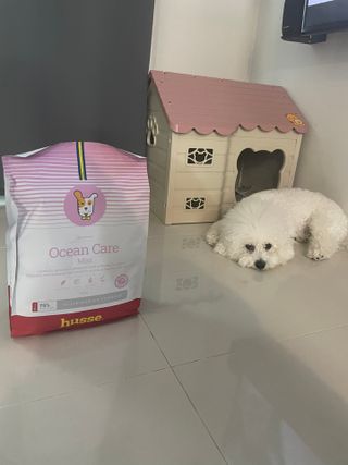 지예지예❤️님이 올린 리뷰 사진 2