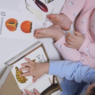 바바북스 바바 클래식 낱말카드 — 5점을 준 리뷰어가 2024년 1월 올린 사용 사진