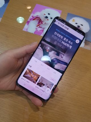 삼숑이맘님이 올린 리뷰 사진 2