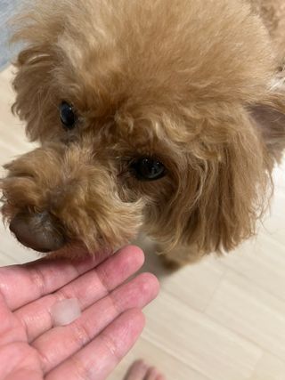 코끼리님이 올린 리뷰 사진 3