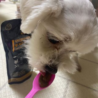곽현정님이 올린 리뷰 사진 3