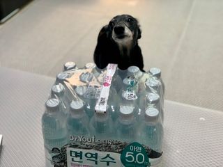 콩이누나님이 올린 리뷰 사진 3