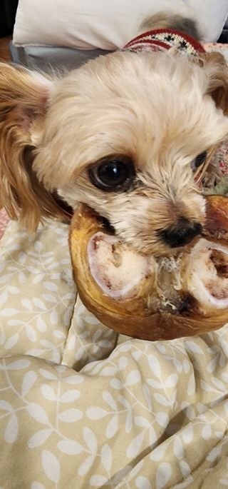 강미선님이 올린 리뷰 사진 2