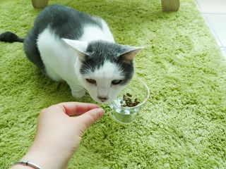 yyyy님이 올린 리뷰 사진 3