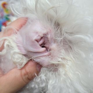 콩떡마미님이 올린 리뷰 사진 2