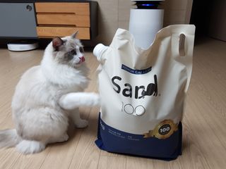 [샌드백] 프리미엄 벤토나이트 고양이모래 — 5점을 준 리뷰어가 2021년 1월 올린 사용 사진