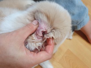 혜자님이 올린 리뷰 사진 3