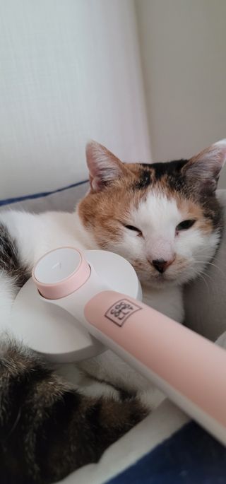 전소민님이 올린 리뷰 사진 1