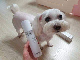 사라님이 올린 리뷰 사진 1