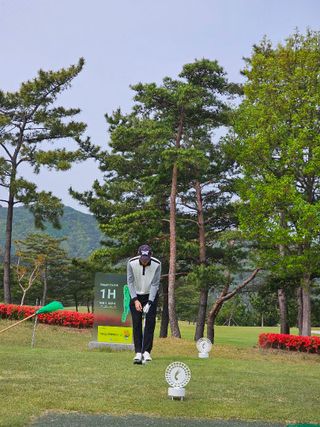 다운블로우 ~남자 버뮤다 7부 와이드 핀턱 트레이닝 반바지 ACC SS1001 — 5점을 준 리뷰어가 2025년 5월 올린 사용 사진