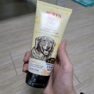 가횽님이 올린 리뷰 사진 1