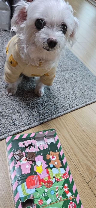 끌랑님이 올린 리뷰 사진 2