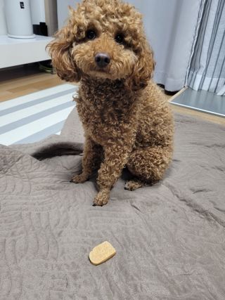 sssee님이 올린 리뷰 사진 3