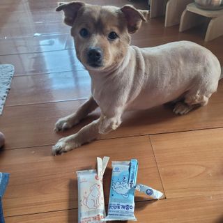 용2님이 올린 리뷰 사진 2