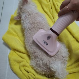 빵슬님이 올린 리뷰 사진 4