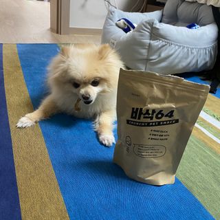 세지니힛님이 올린 리뷰 사진 4