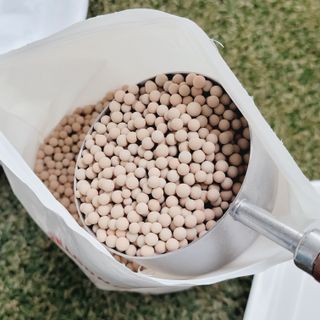 핑크뭉치님이 올린 리뷰 사진 2