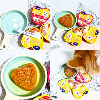 비타크래프트 조에시 하트캔 85g 강아지 습식캔 10캔 — 5점을 준 리뷰어가 2021년 10월 올린 사용 사진