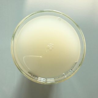 torius님이 올린 리뷰 사진 3