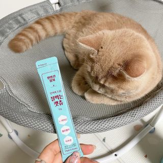 페페로니 잘 먹는 캣츄 - 원양선 참치 24개입 — 5점을 준 리뷰어가 2021년 8월 올린 사용 사진