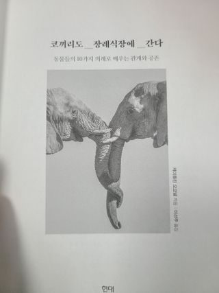 쪼로리님이 올린 리뷰 사진 4