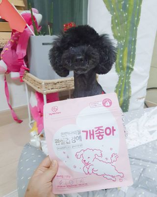 My Pet Care 천연단백질 관절건강에 개좋아 — 5점을 준 리뷰어가 2021년 2월 올린 사용 사진