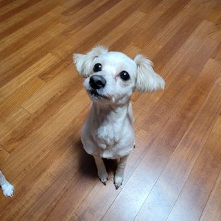 엣헴님이 올린 리뷰 사진 1