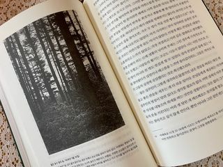 alwl0522님이 올린 리뷰 사진 3