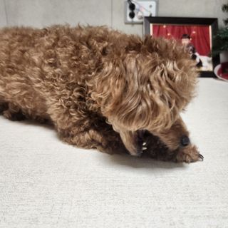 산이네ෆ˙ ᵕ ˙ෆ님이 올린 리뷰 사진 3
