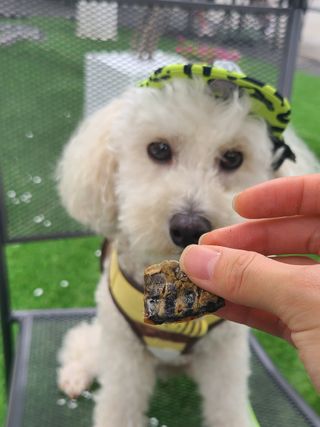 캐스퍼님이 올린 리뷰 사진 1