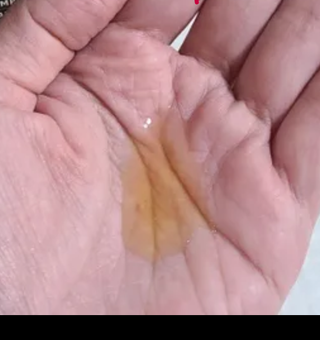 체코 비건화장품 마뉴팍투라 향좋은 천연 맥주샴푸 맥주샤워젤 — 5점을 준 리뷰어가 2022년 5월 올린 사용 사진