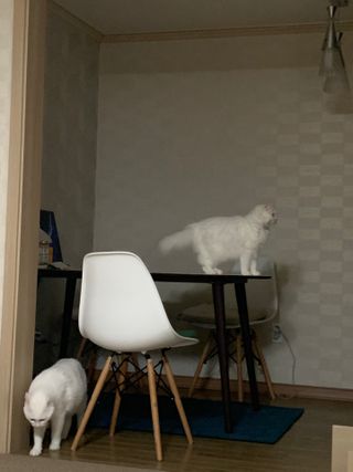 례진님이 올린 리뷰 사진 3