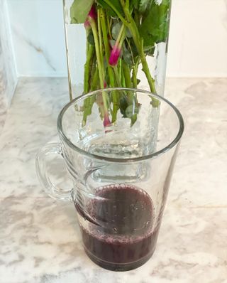 비앤포님이 올린 리뷰 사진 3