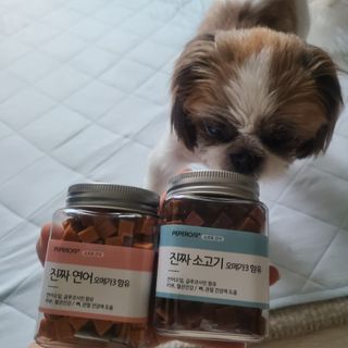 페페로니 진짜 오메가3 연어+소고기 180g+180g — 5점을 준 리뷰어가 2021년 7월 올린 사용 사진