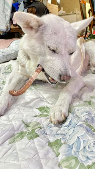 Jenny님이 올린 리뷰 사진 4