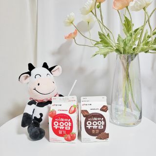 인아님이 올린 리뷰 사진 2