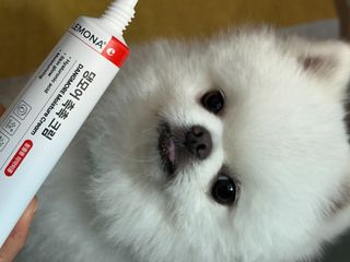 김햇살님이 올린 리뷰 사진 2
