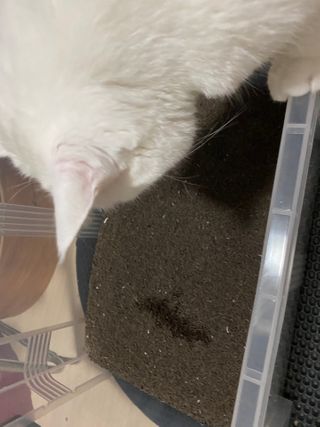 모너아리님이 올린 리뷰 사진 3