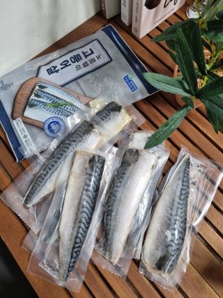 ㈜금호통상 노르웨이 고등어 900g (6~10편) — 5점을 준 리뷰어가 2023년 6월 올린 사용 사진