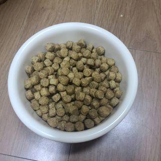 치킨수프 클래식 독 2.04KG — 5점을 준 리뷰어가 2021년 7월 올린 사용 사진