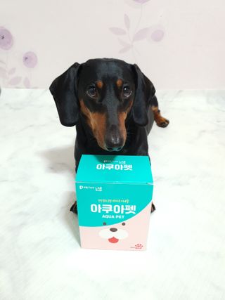 펫시랩 반려견용 액상 프리바이오틱스 아쿠아펫 — 5점을 준 리뷰어가 2021년 1월 올린 사용 사진