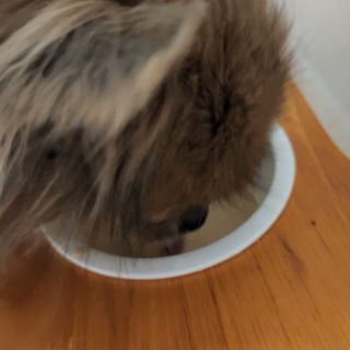 작은곰님이 올린 리뷰 사진 4