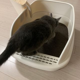 랑미님이 올린 리뷰 사진 4