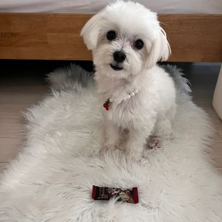 하리이님이 올린 리뷰 사진 1