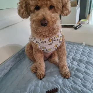 기린짱맘님이 올린 리뷰 사진 4